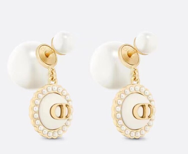 Dior Earrings CE14198