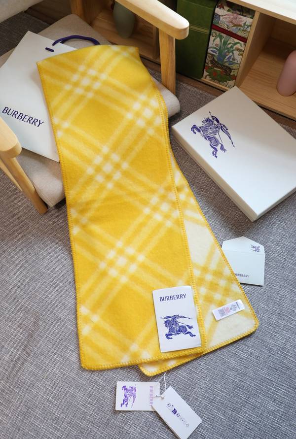 Burberry Scarf BBC00173 Burberry Scarf BBC00173