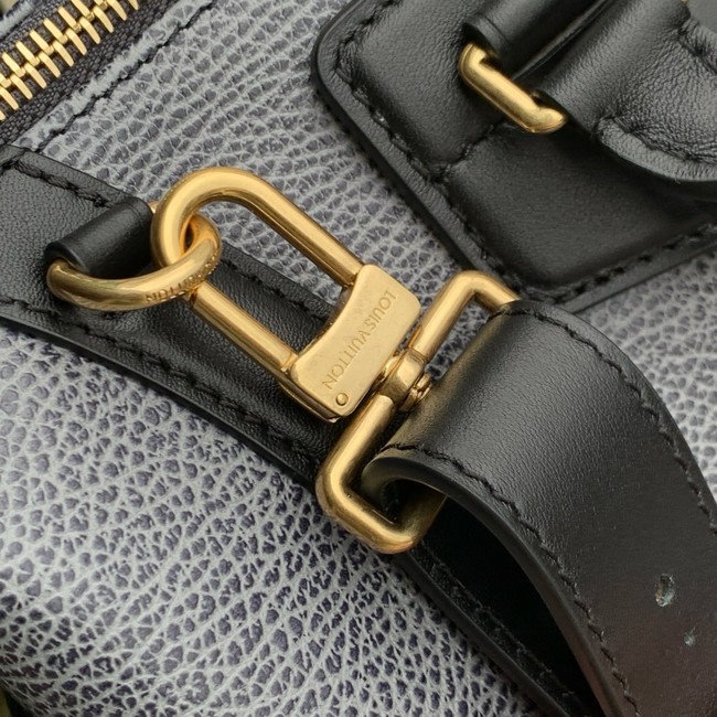 Louis Vuitton LV Biker PM M14721 gray