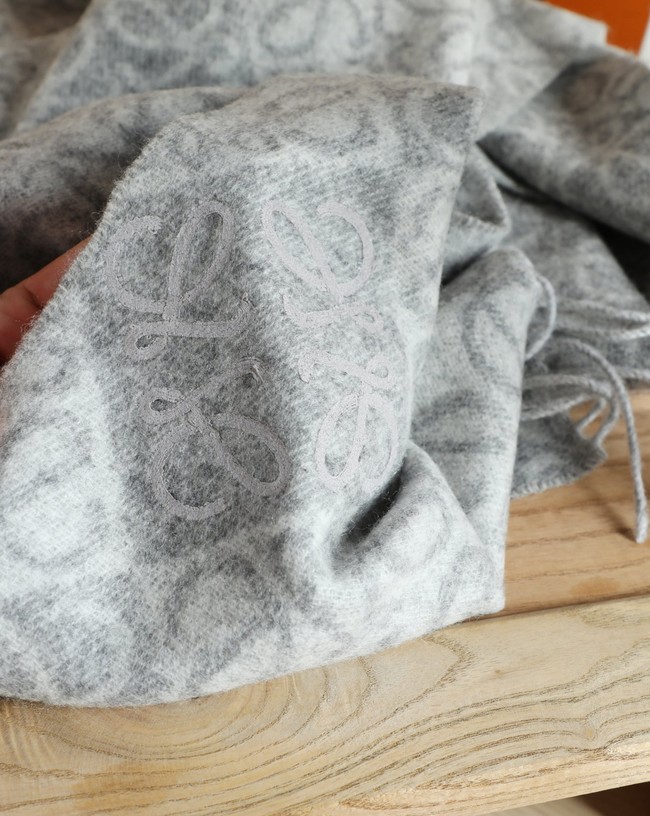 Loewe Cashmere Scarf 06382