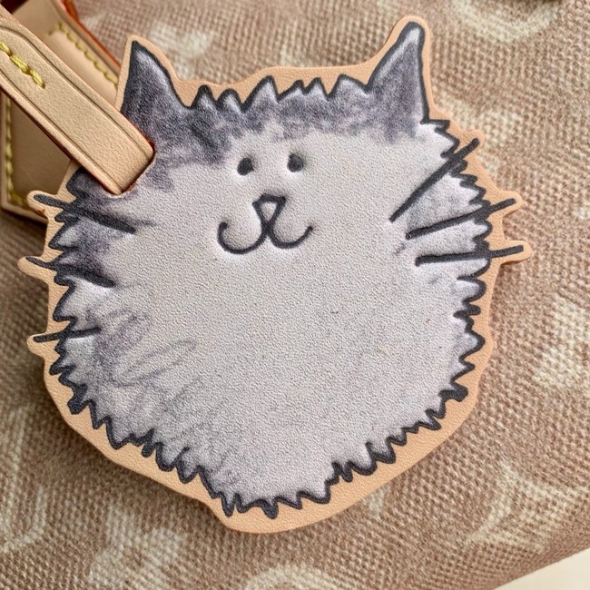 Louis Vuitton Speedy Bandouliere 20 M15151