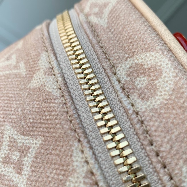 Louis Vuitton Nice Mini M15170