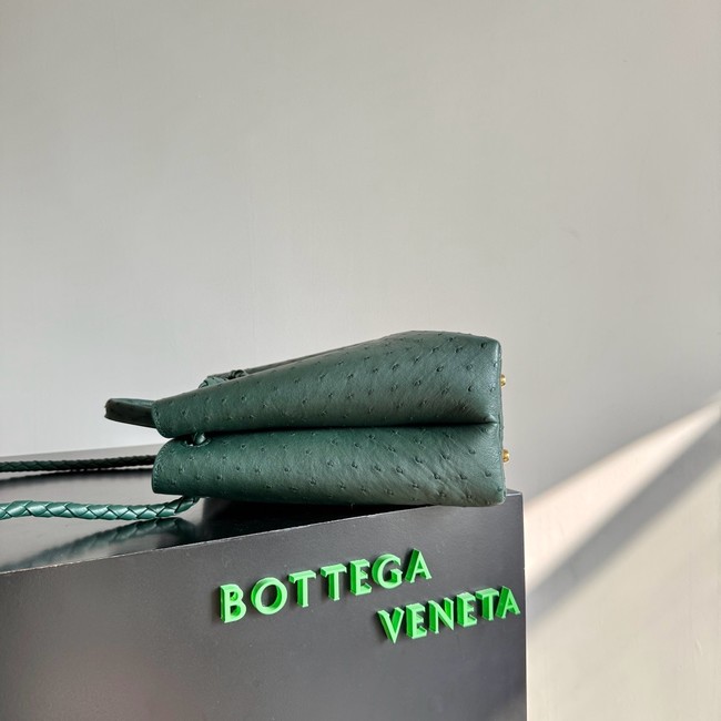 Bottega Veneta Andiamo 766016 Jungle
