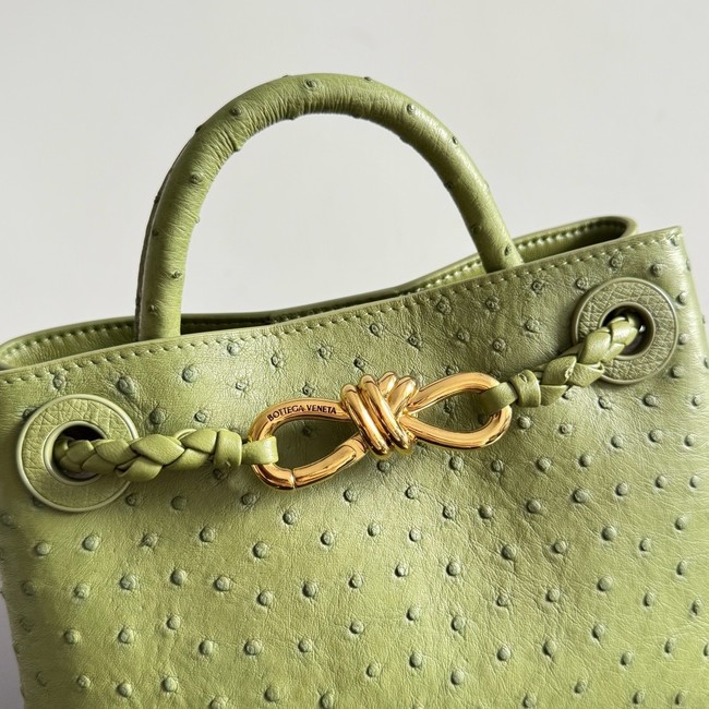 Bottega Veneta Mini Andiamo Sapele 805232 green