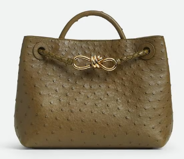 Bottega Veneta Small Andiamo 805231 Mud