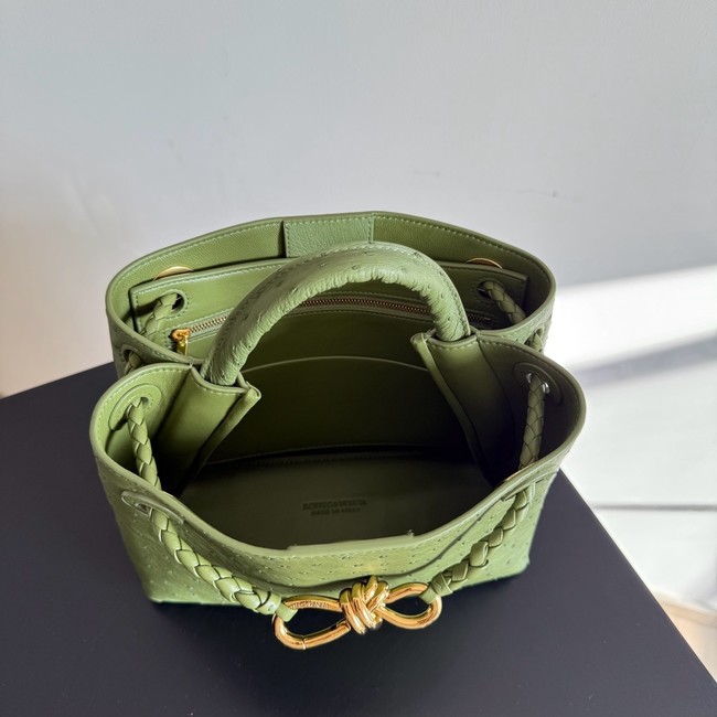 Bottega Veneta Small Andiamo 805231 Mud