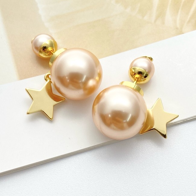 Dior Earring CE81813