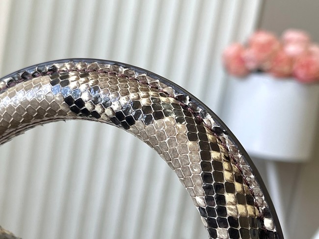 Louis Vuitton Capucines Mini M89369 Grenat Red&gray Snake skin