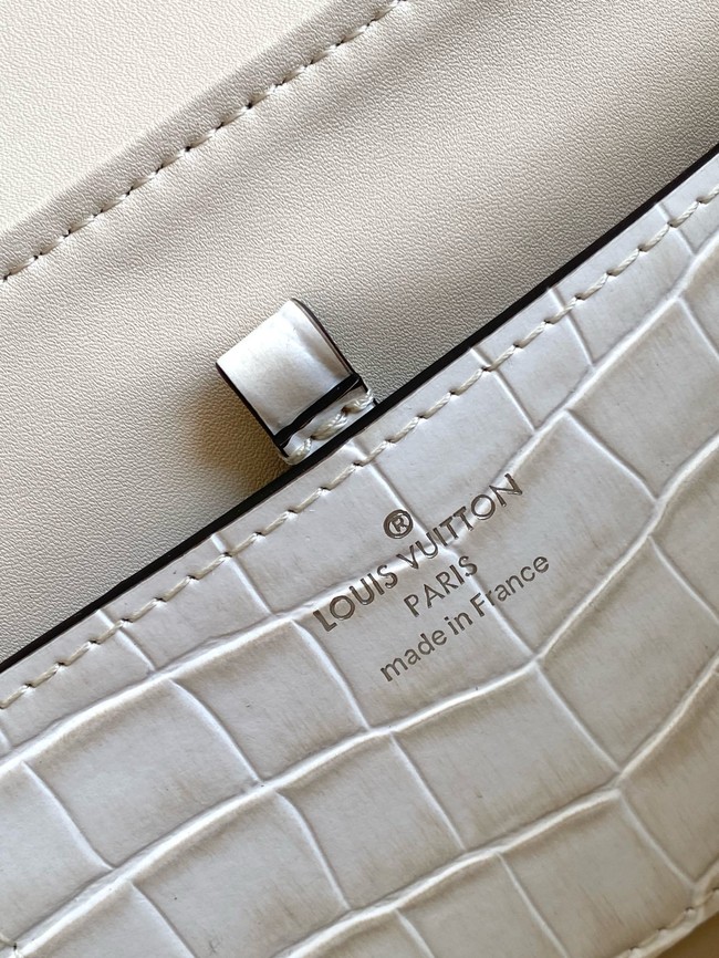 Louis Vuitton Calfskin M84714 light gray