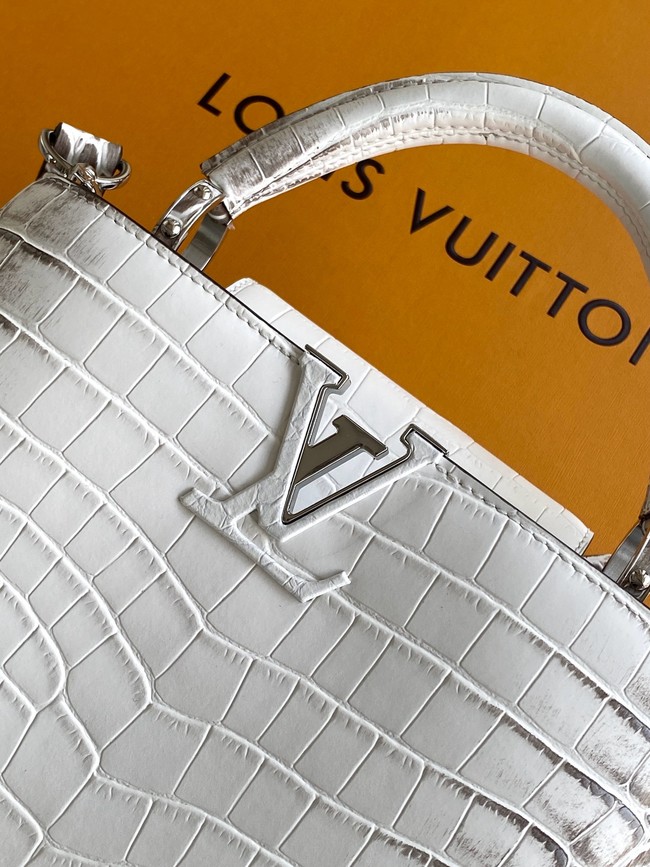 Louis Vuitton Capucines BB M98177 light gray