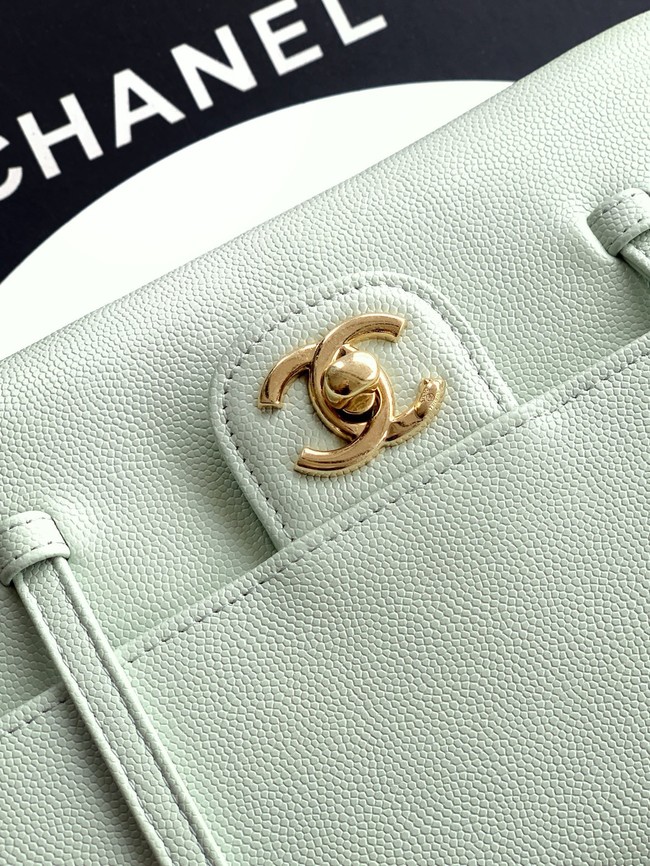CHANEL Small Flap Bag AS6130 Light Green