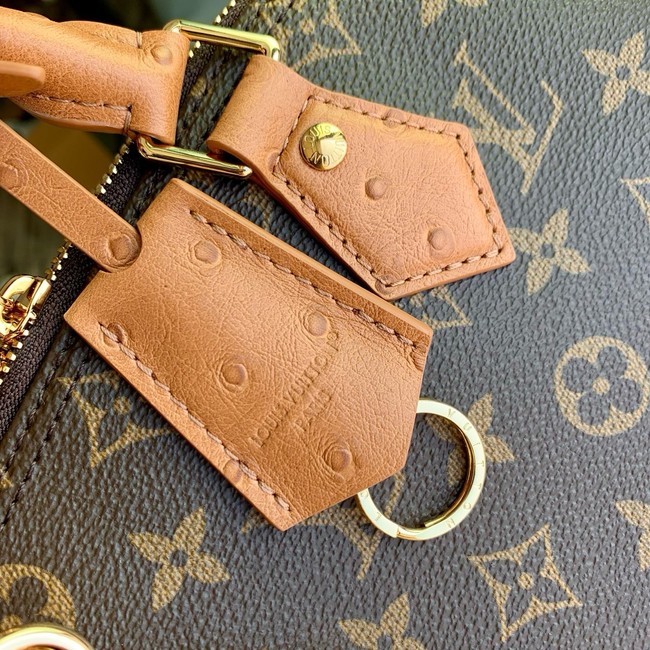 Louis Vuitton Alma MM Soft Celebration N30049