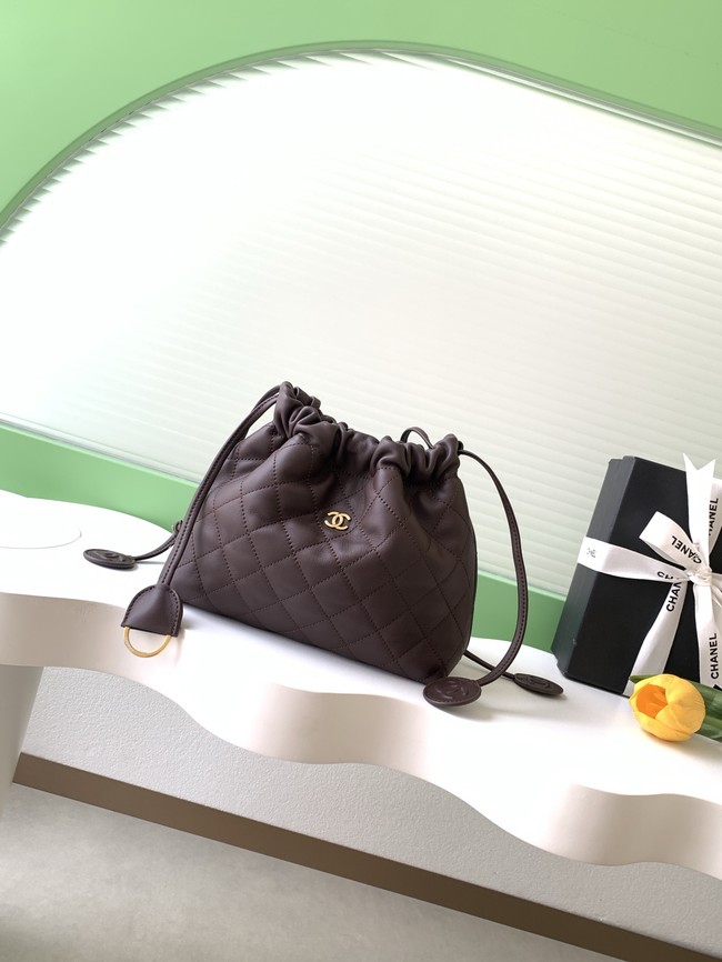 Chanel Lambskin Hobo Bag AS5227 dark brown