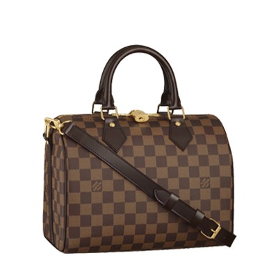 Louis Vuitton Damier Ebene Canvas Speedy 25 With Shoulder Strap N41181