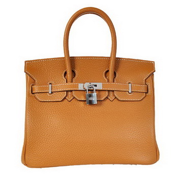 Hermes Birkin 25CM Tote Bags Togo Leather Camel Silver