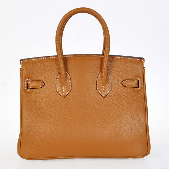 Hermes Birkin 25CM Tote Bags Togo Leather Camel Silver