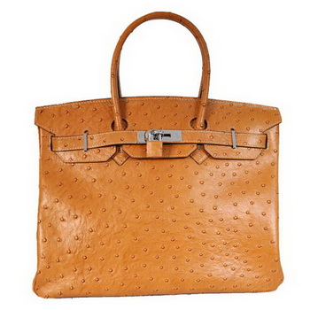 Hermes Birkin 35CM Tote Bags Ostrich Togo Leather Ocher Silver