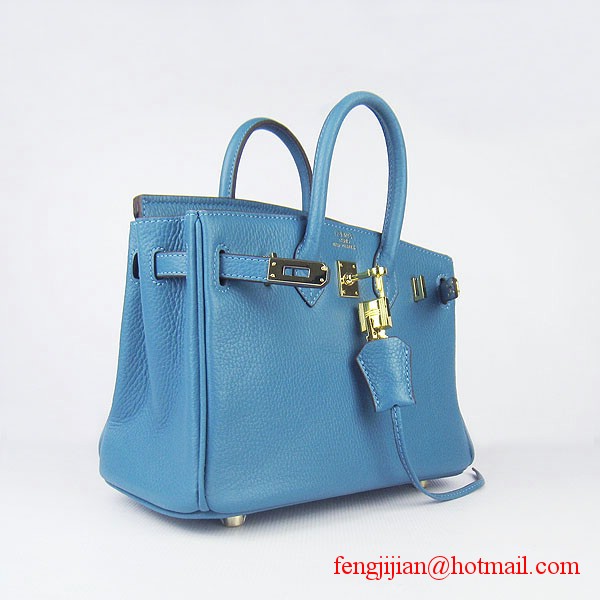 Hermes Birkin 25cm Togo Leather Bag 6068 Blue Gold Palladium hardware