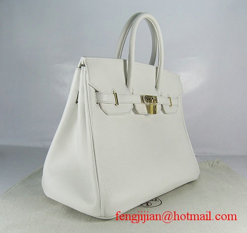 Hermes Birkin 35cm Embossed Veins Leather Bag White 6089 Gold Hardware